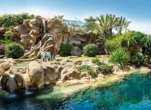 Loro Parque Tenerife