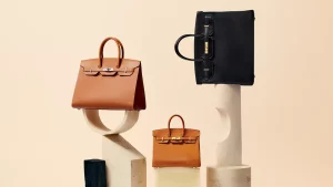 sacs Birkin Hermès